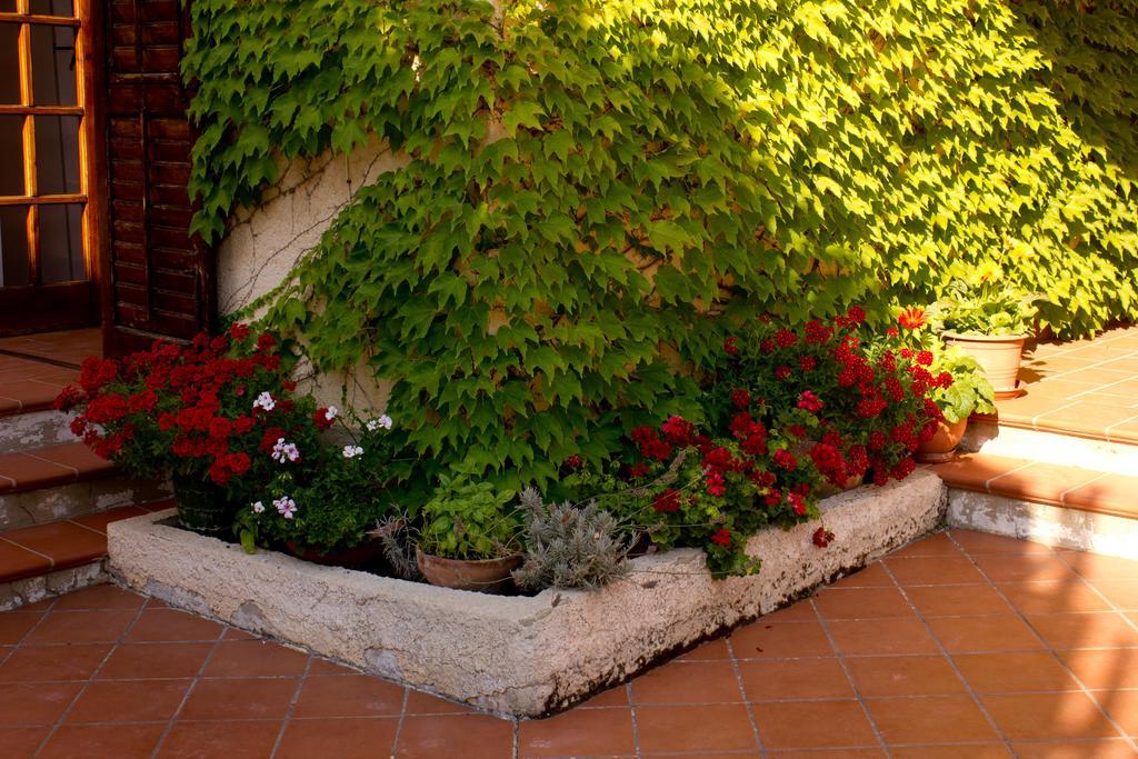 Casa Del Falso Pepe - Scala Dei Turchi Realmonte Ngoại thất bức ảnh