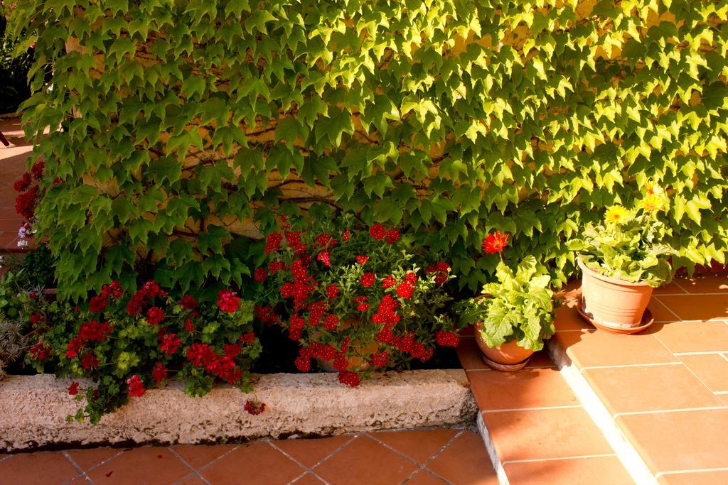 Casa Del Falso Pepe - Scala Dei Turchi Realmonte Ngoại thất bức ảnh